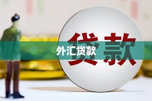 三峡外汇贷款