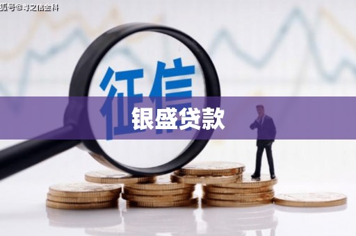 三峡银盛贷款