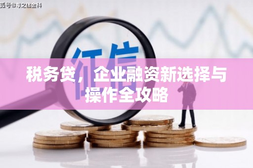 三峡税务贷，企业融资新选择与操作全攻略