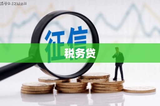 三峡税务贷
