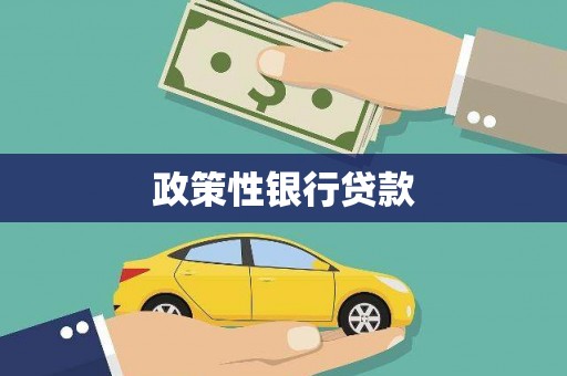 三峡政策性银行贷款