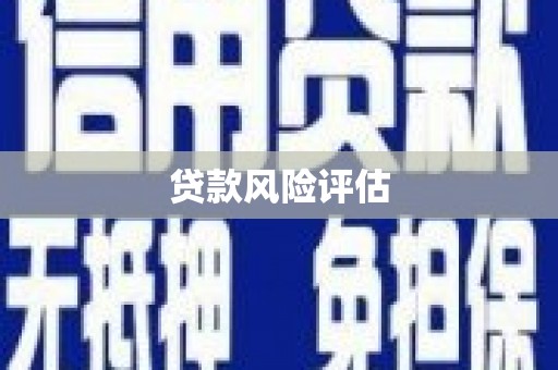 三峡贷款风险评估