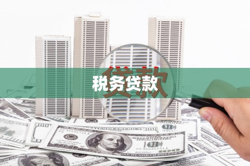 三峡税务贷款