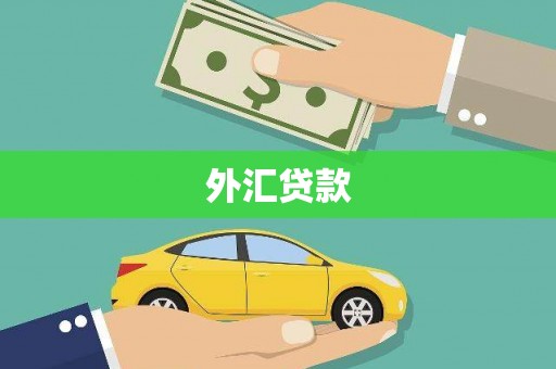 三峡外汇贷款