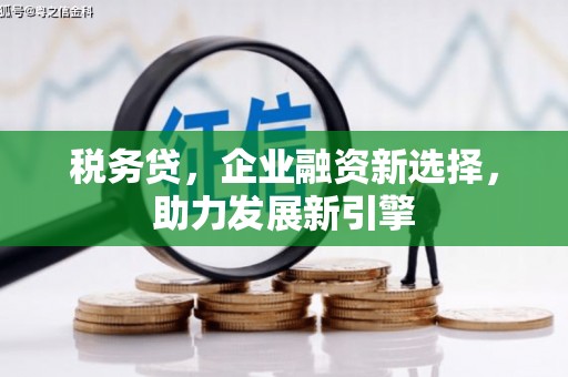 三峡税务贷，企业融资新选择，助力发展新引擎
