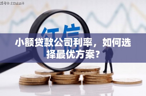 三峡小额贷款公司利率，如何选择最优方案？