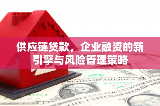 三峡供应链贷款，企业融资的新引擎与风险管理策略