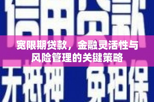 三峡宽限期贷款，金融灵活性与风险管理的关键策略