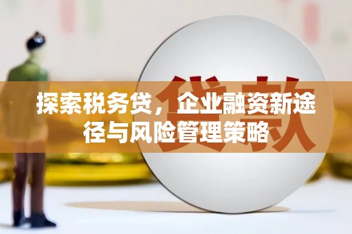 三峡探索税务贷，企业融资新途径与风险管理策略