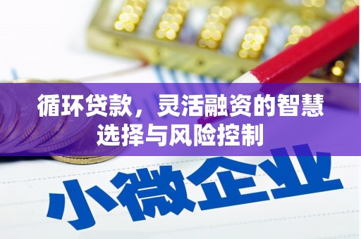 三峡循环贷款，灵活融资的智慧选择与风险控制