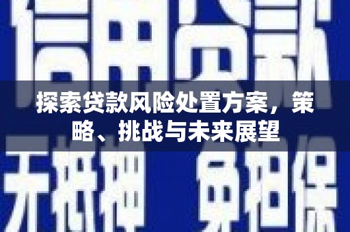 三峡探索贷款风险处置方案，策略、挑战与未来展望