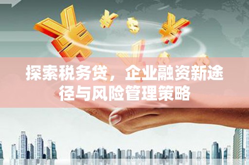 三峡探索税务贷，企业融资新途径与风险管理策略
