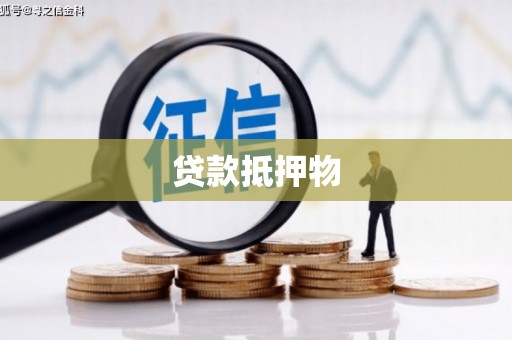 三峡贷款抵押物