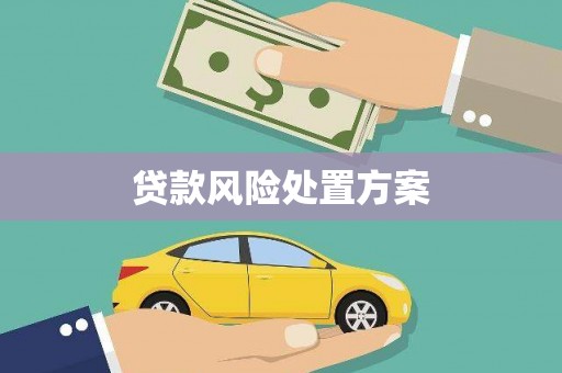 三峡贷款风险处置方案