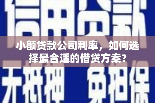三峡小额贷款公司利率，如何选择最合适的借贷方案？