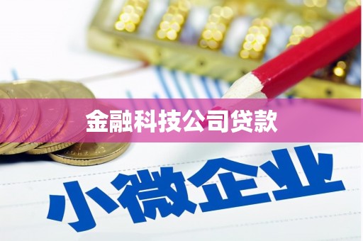 三峡金融科技公司贷款