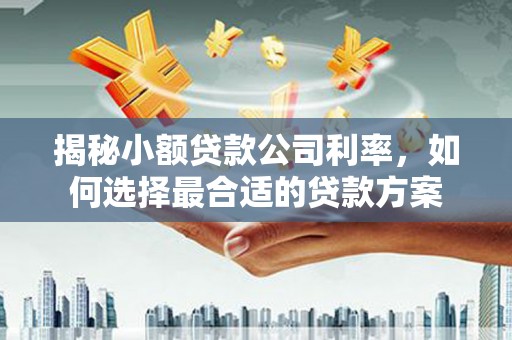 三峡揭秘小额贷款公司利率，如何选择最合适的贷款方案