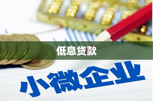 三峡低息贷款