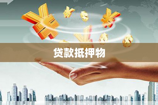 三峡贷款抵押物