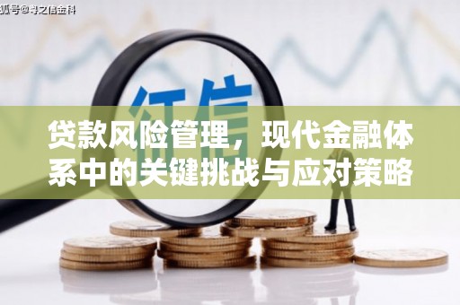 三峡贷款风险管理，现代金融体系中的关键挑战与应对策略