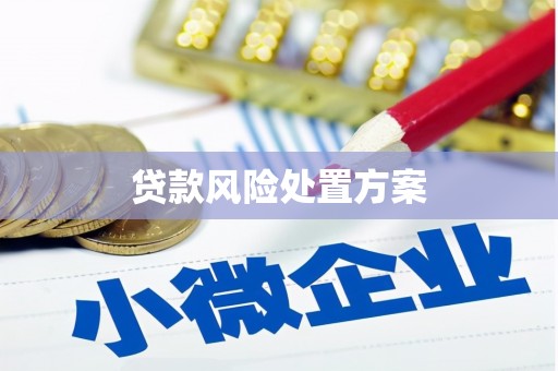三峡贷款风险处置方案