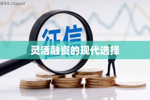 三峡灵活融资的现代选择