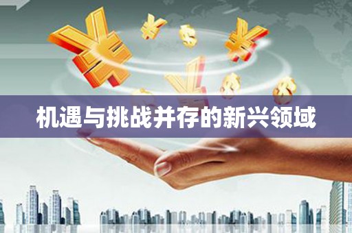 三峡机遇与挑战并存的新兴领域