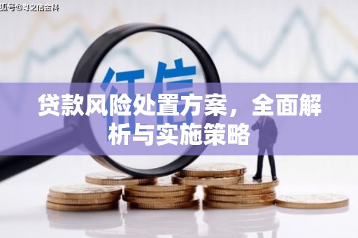 三峡贷款风险处置方案，全面解析与实施策略