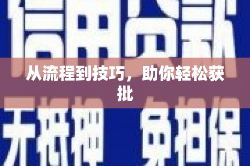 三峡从流程到技巧，助你轻松获批