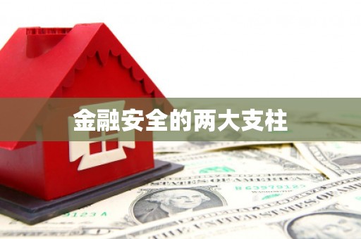 三峡金融安全的两大支柱