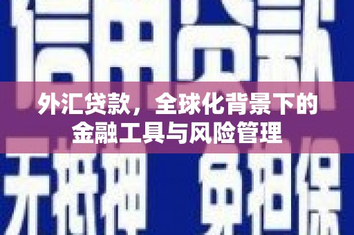 三峡外汇贷款，全球化背景下的金融工具与风险管理