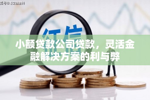 三峡小额贷款公司贷款，灵活金融解决方案的利与弊