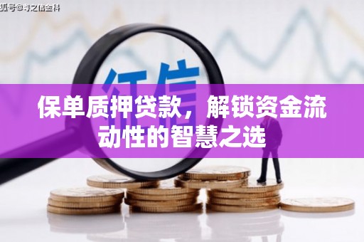 三峡保单质押贷款，解锁资金流动性的智慧之选